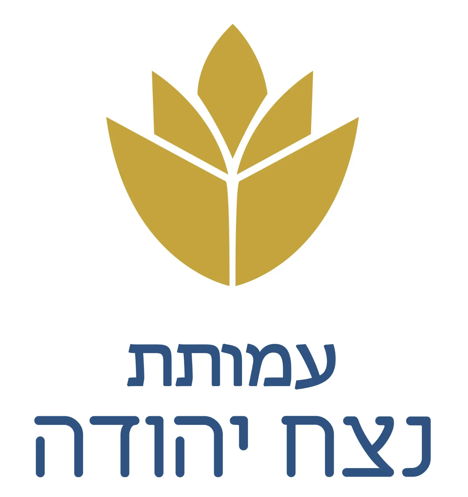 עמותת נצח יהודה