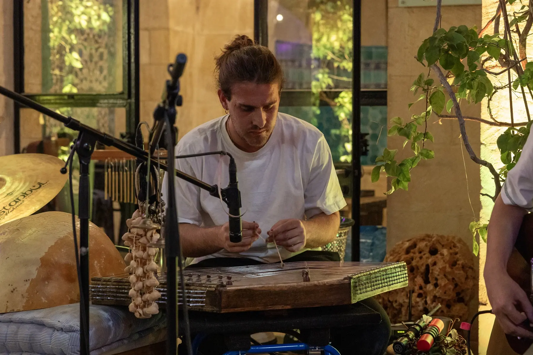 נגן מנגן על כלי מיתר בערב השקת ״ירושלמים״