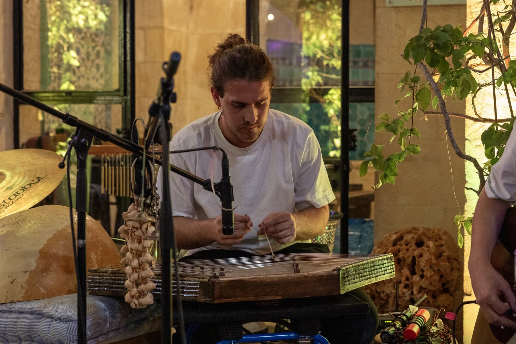 נגן מנגן על כלי מיתר בערב השקת ״ירושלמים״