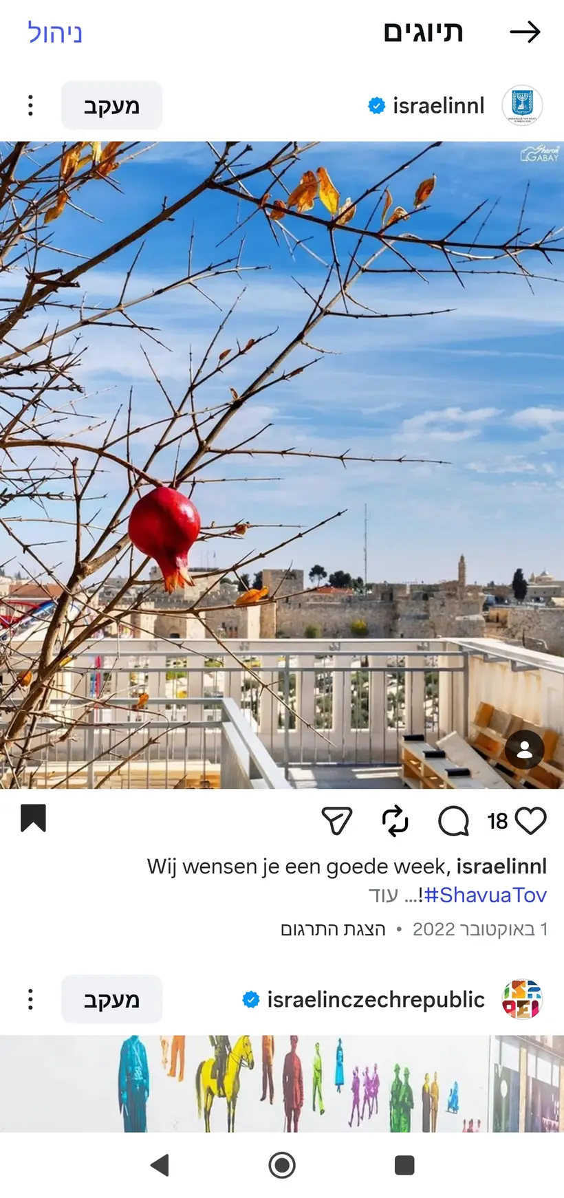 צילום של שרון גבאי בפרסום רשמי של שגרירות ישראל בהולנד (@israelinnl)