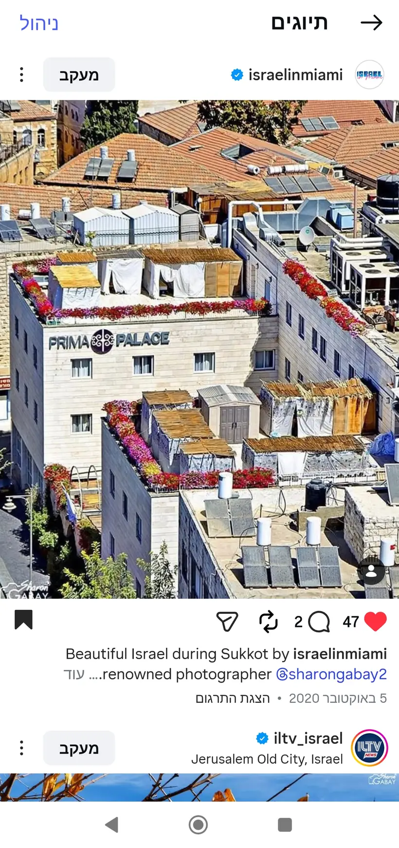 צילום של שרון גבאי בפרסום רשמי של קונסוליית ישראל במיאמי (@israelinmiami)