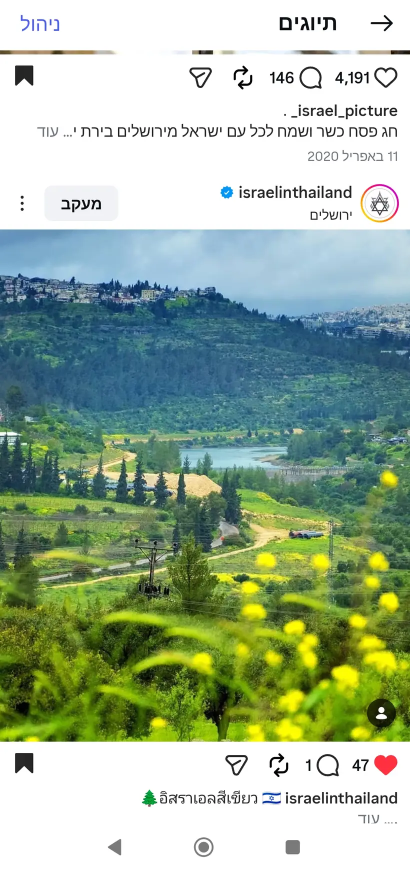 צילום של שרון גבאי בפרסום רשמי של שגרירות ישראל בתאילנד (@israelinthailand)